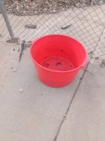 IMG_20221202_101106.jpg