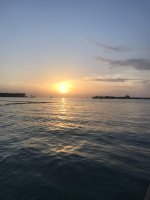 B6E56740-46C2-49B7-9F5B-08A628723FC9.jpeg