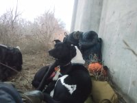 IMG_20230112_165558.jpg
