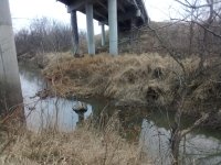IMG_20230112_164902.jpg
