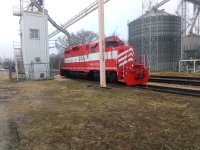 IMG_20230119_091738.jpg