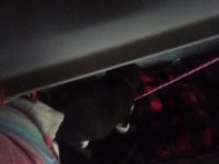 IMG_20230128_103829.jpg