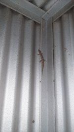 20220128_190515.jpg