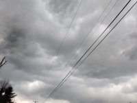 IMG_20230401_172722.jpg
