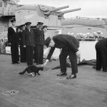600px-blackie_and_churchill.jpg 600px-blackie_and_churchill.jpg