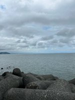 IMG_8579.jpeg IMG_8579.jpeg