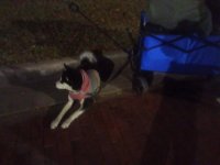 IMG_20231225_211847.jpg
