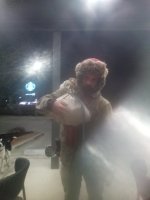 IMG_20240101_202350.jpg