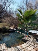 IMG_20240218_105118.jpg