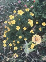 IMG_0658.jpeg