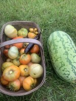 IMG_4728.jpeg
