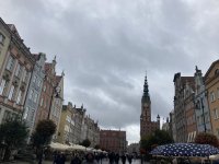 IMG_2594.jpeg