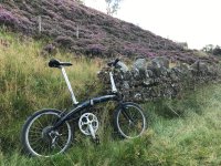 bike.jpg