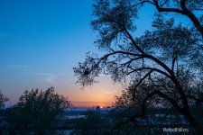 9FF3A261-289B-44BD-B787-585B4CF483D1.jpeg