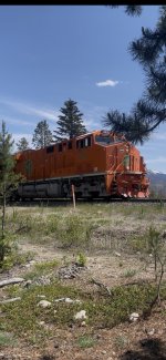 IMG_0239.jpeg