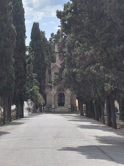 20250515_160645.jpg