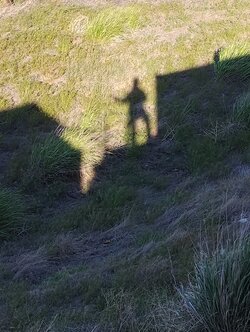IMG_20250522_184111644.jpg
