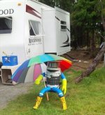 hitchbot4.jpg