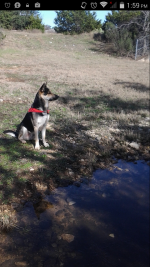 Screenshot_2015-04-03-13-59-58.png