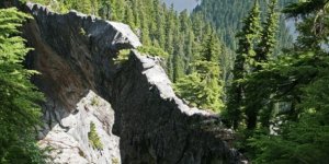 this-natural-bridge-takes-you-on-a-hike-through-the-clouds.jpg