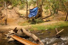 the-stream-that-cuts-through-the-middle-of-the-jungle-has-little-water-in-mid-july.jpg