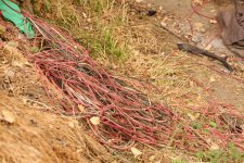 or-stripping-wire-for-copper-to-sell-at-scrap-yards.jpg