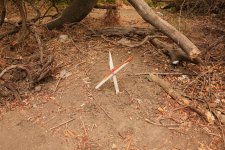 digging-here-can-be-to-hide-things-from-thieves-or-to-bury-a-beloved-pet.jpg