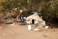 tons-of-trash-was-removed.jpg