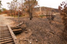 y-the-greater-the-chance-jungle-fires-could-spread-to-their-homes-as-this-one-nearly-did-in-july.jpg