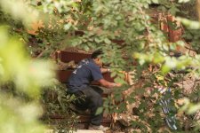 this-homeless-mason-used-his-job-skills-to-build-a-set-of-stairs-from-his-camp-to-the-creek.jpg