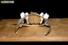 braceletback_zps2bd96e1f.jpg
