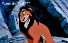 Lion-King-Scar-scar-23037315-500-315a.jpg