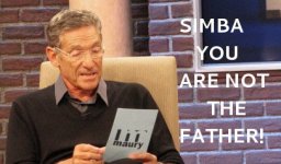 r-MAURY-POVICH-large5702.jpg