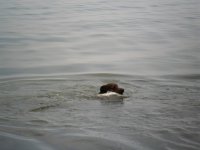 SAM_0134.jpg