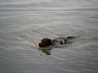 SAM_0135.jpg