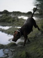 SAM_0141.jpg