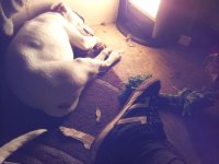 20150111_002432.jpg