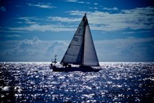 5_Captain-Liz-Clark.jpg