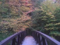 140929_0004.jpg