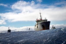 OCEANS-CHASE-07-articleLarge.jpg