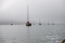 _DSC4508.jpg