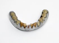 nimrodteeth.jpg
