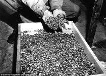 00578-3206594-Treasure_An_American_soldier_pictured_with_a_box_full_of_rings_d-a-7_1440203590983.jpg