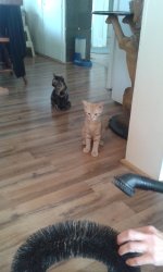 20150930_125925.jpg