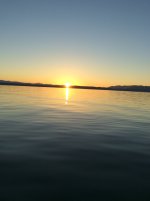 IMG_1272.jpg