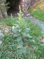 IMG_0006_zpsk9phlvak.jpg