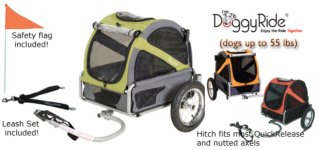 DR01mini.jpg