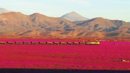 atacama train.jpg