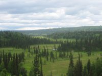 049_640x480.JPG
