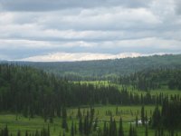 052_640x480.JPG